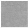 FLAYER.png
