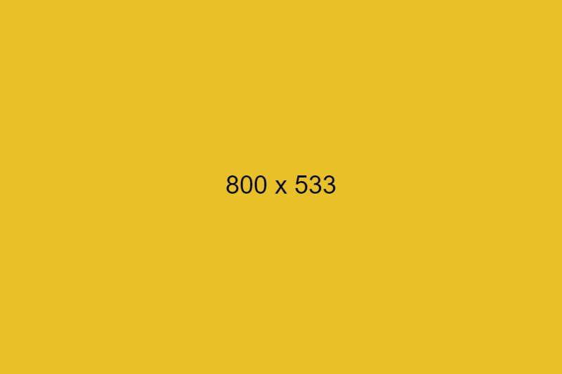 dummy_800x533_000000_e8c129 dummy_800x533_000000_e8c129