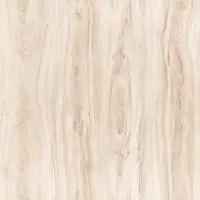دلارام روشن مات کوثر ابرکوه