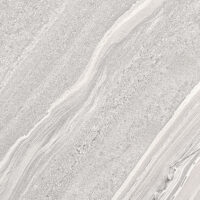 کاملیا 3 مات کوثر ابرکوه