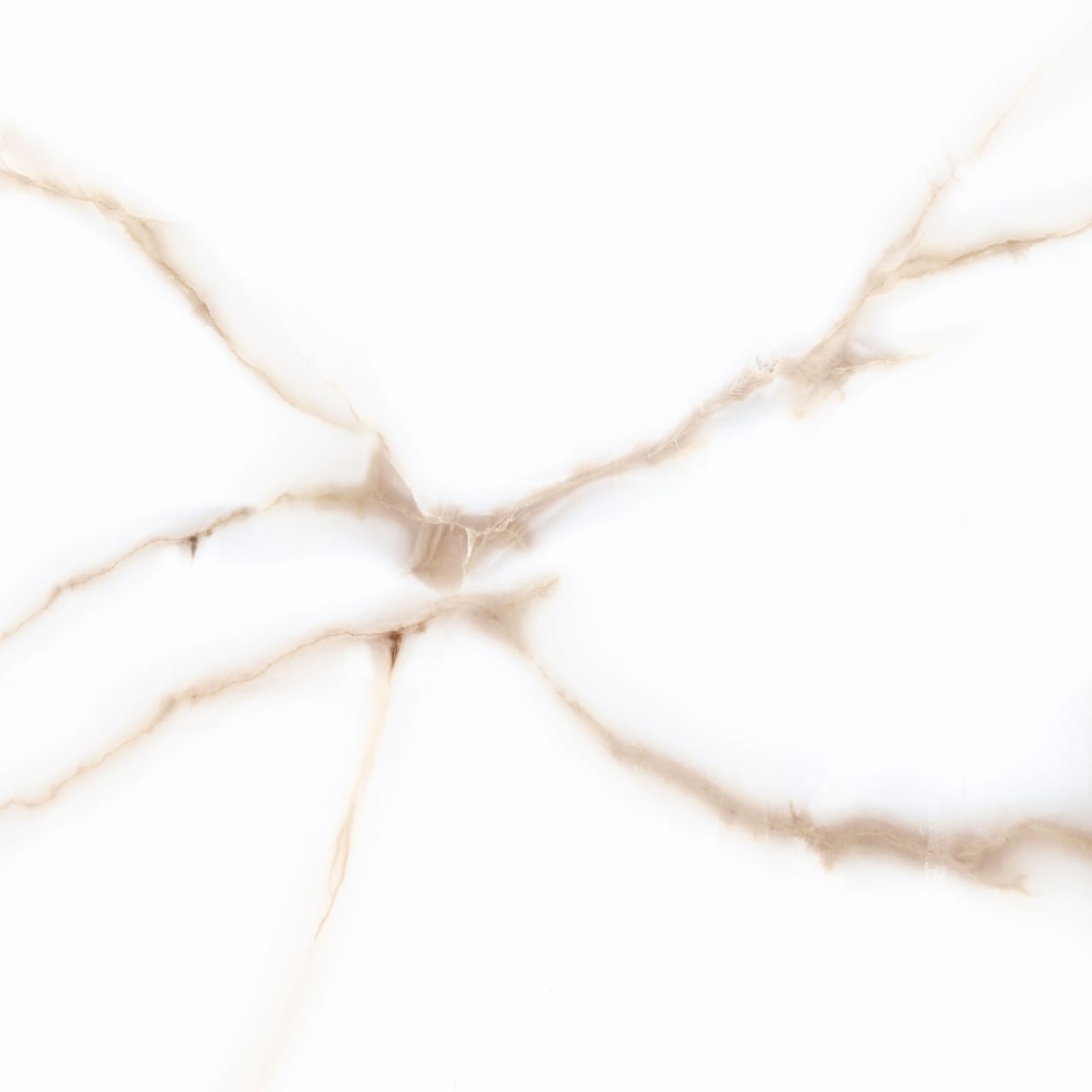 کرانه براق کوثر ابرکوه کرانه براق کوثر ابرکوه