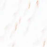 لیون براق کوثر ابرکوه