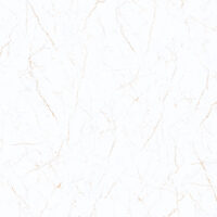 پانیذ کوثر ابرکوه