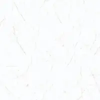 پانیذ کوثر ابرکوه
