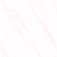 پگاه کوثر ابرکوه