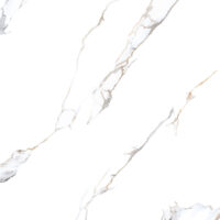 راین 1 کوثر ابرکوه