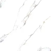 راین 1 کوثر ابرکوه