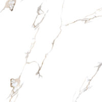 راین 2 کوثر ابرکوه