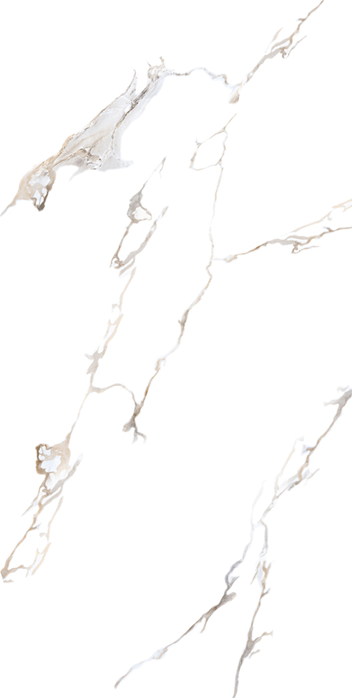 راین 2 کوثر ابرکوه راین 2 کوثر ابرکوه