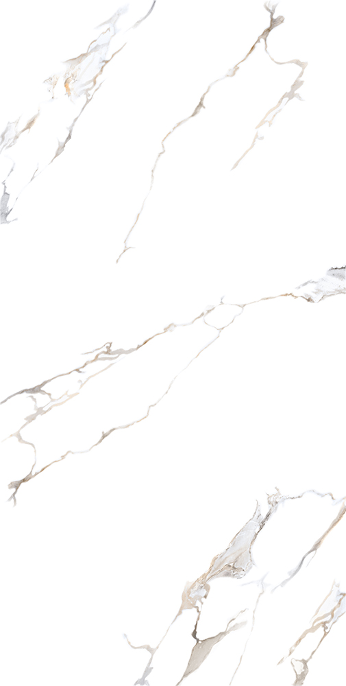 راین 3 کوثر ابرکوه راین 3 کوثر ابرکوه