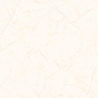 افرا بژ براق کوثر ابرکوه