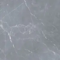 آریون طوسی تیره رستیک مات نوین سرام