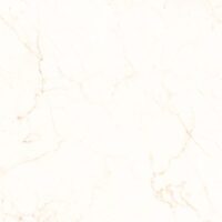 فلورا کوثر ابرکوه فلورا کوثر ابرکوه