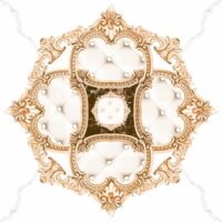 ژینوس براق کوثر ابرکوه