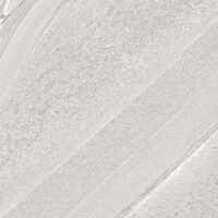 کاملیا 1 مات کوثر ابرکوه