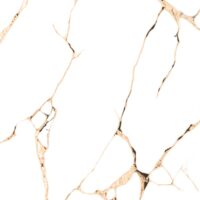 راسل براق کوثر ابرکوه