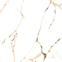 راسل براق کوثر ابرکوه