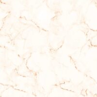 تایگر براق کوثر ابرکوه