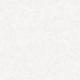 آنیکا 002 ستاره