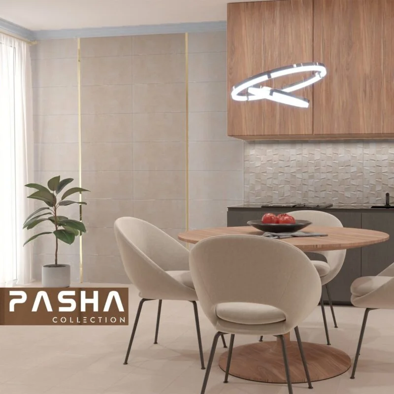 پاشا مات ستاره میبد پاشا مات ستاره میبد