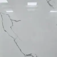 آرسس امین میبد
