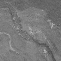 کربونادو مات امین میبد