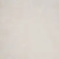 دیلان امین میبد