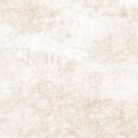 ایلیا 005 ستاره میبد