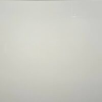 کلکته امین میبد