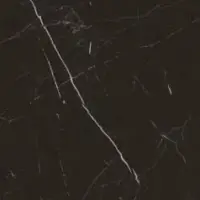 کارمن طوسی تیره و روشن امین میبد