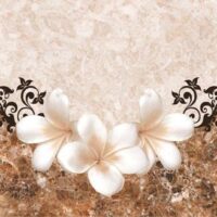 لارنس دکور مسعود ایران