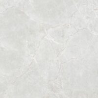 نهال روشن امین