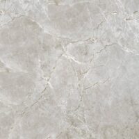 نهال تیره امین