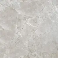 نهال تیره امین