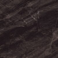 پاتریشیا امین