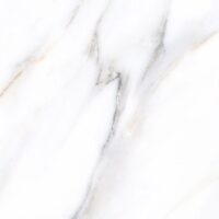 راویس 001 ستاره