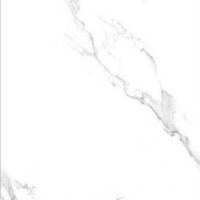 سیلوا امین میبد