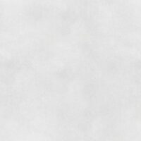 سیمونه طوسی روشن امین