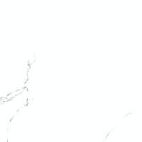 ترلان امین میبد