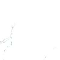 ترلان امین میبد