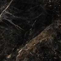 آلبرتو طلایی امین میبد