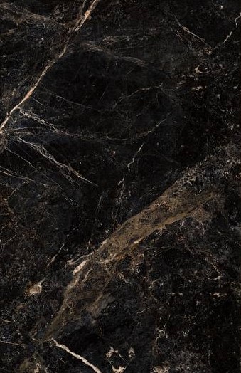 آلبرتو طلایی امین میبد آلبرتو طلایی امین میبد