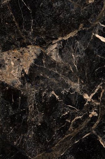 آلبرتو طلایی امین میبد آلبرتو طلایی امین میبد