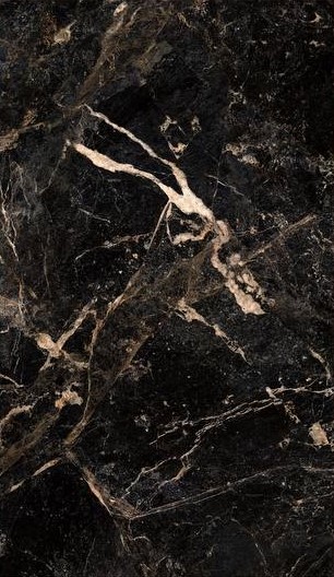 آلبرتو طلایی امین میبد آلبرتو طلایی امین میبد