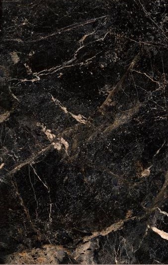 آلبرتو طلایی امین میبد آلبرتو طلایی امین میبد