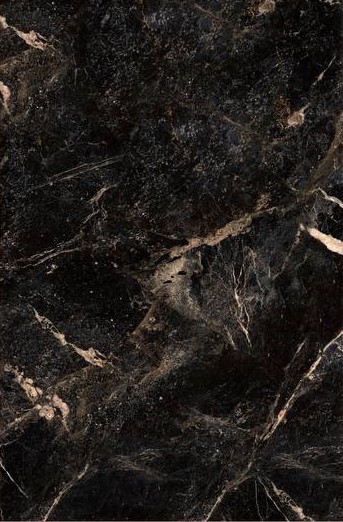 آلبرتو طلایی امین میبد آلبرتو طلایی امین میبد