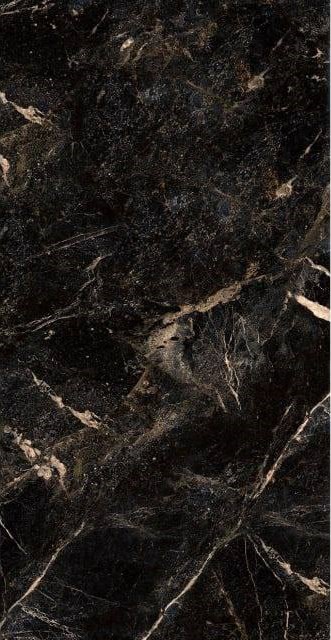 آلبرتو طلایی امین میبد آلبرتو طلایی امین میبد