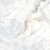 آراگون امین میبد