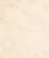 دلسان 005 مات ستاره میبد