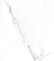 ژینار 001 ستاره میبد